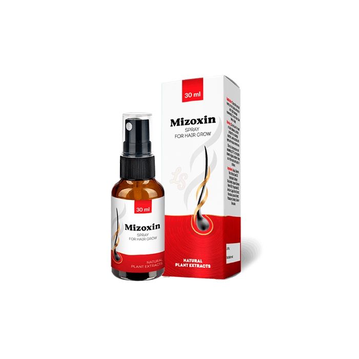 ▻ Mizoxin - produit de restauration capillaire