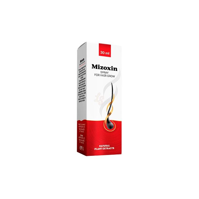 ▻ Mizoxin - prodotto per il restauro dei capelli