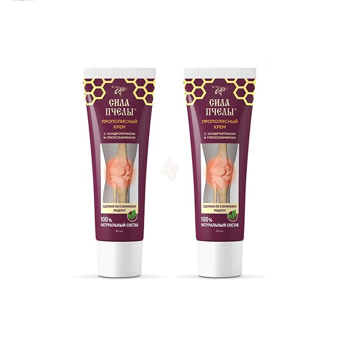 ▻ Bee Power Cream - համատեղ առողջության միջոց