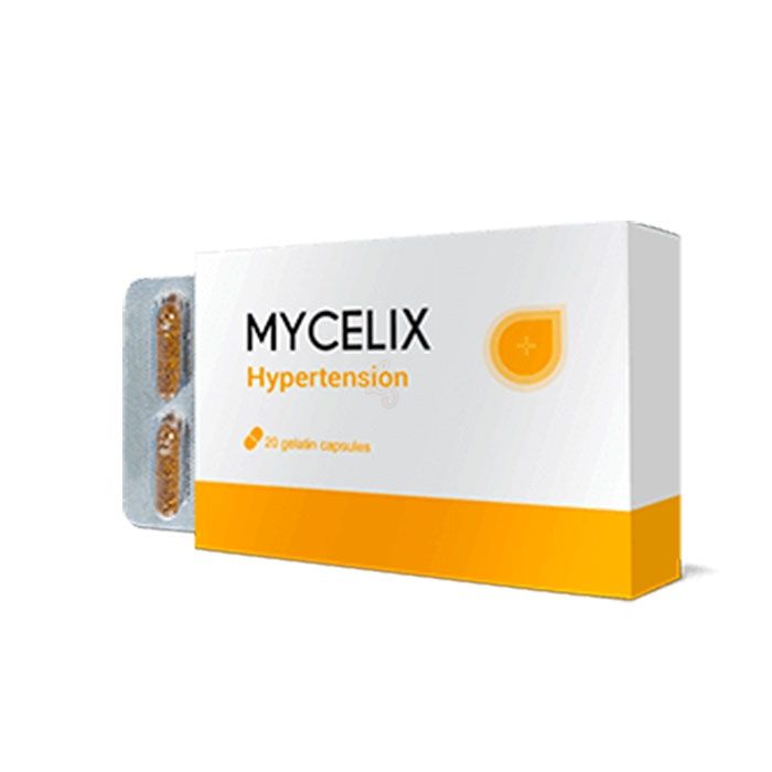 ▻ Mycelix - remedy for hypertension